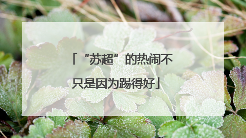 “苏超”的热闹不只是因为踢得好