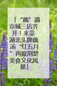 “藕”遇京城三店齐开！来菜·湖北头牌藕汤“红五月”再掀荆楚美食文化风暴