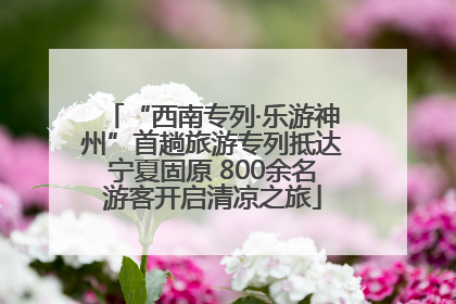“西南专列·乐游神州”首趟旅游专列抵达宁夏固原 800余名游客开启清凉之旅