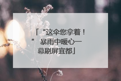 “这伞您拿着！” 暴雨中暖心一幕刷屏宜都