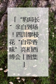 “豹局长”亲自到场！四川攀枝花“自带香味”亮相西博会丨图集