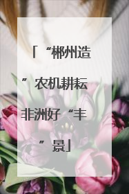 “郴州造”农机耕耘非洲好“丰”景