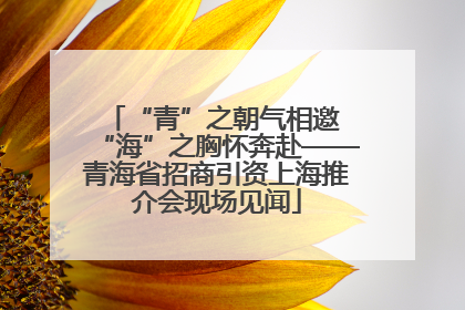 “青”之朝气相邀 “海”之胸怀奔赴——青海省招商引资上海推介会现场见闻