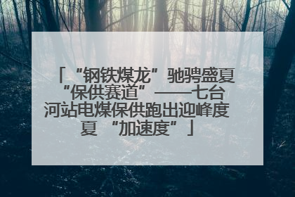 “钢铁煤龙”驰骋盛夏 “保供赛道”——七台河站电煤保供跑出迎峰度夏 “加速度”