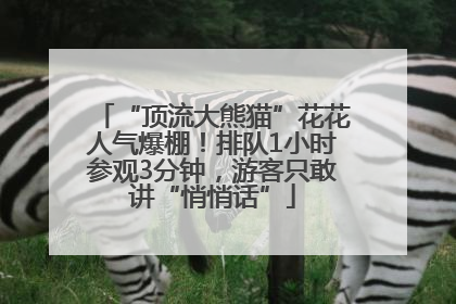 “顶流大熊猫”花花人气爆棚！排队1小时参观3分钟，游客只敢讲“悄悄话”