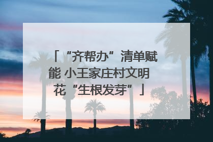 “齐帮办”清单赋能 小王家庄村文明花“生根发芽”