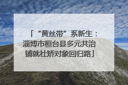 “黄丝带”系新生：淄博市桓台县多元共治铺就社矫对象回归路