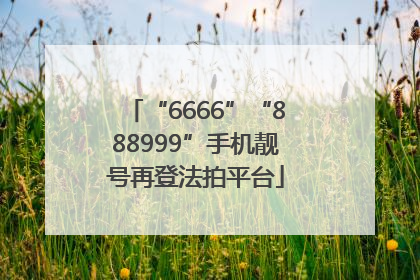 “6666”“888999”手机靓号再登法拍平台