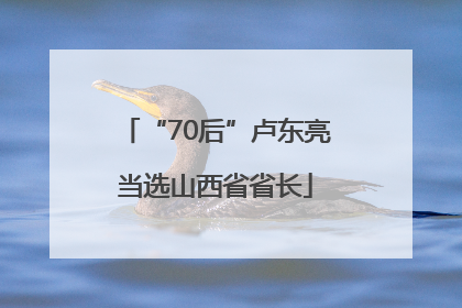 “70后”卢东亮当选山西省省长