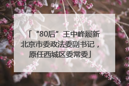 “80后”王中峰履新北京市委政法委副书记，原任西城区委常委