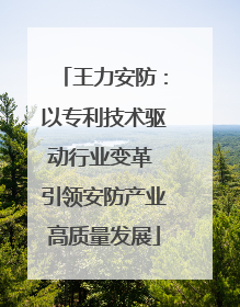 王力安防：以专利技术驱动行业变革 引领安防产业高质量发展