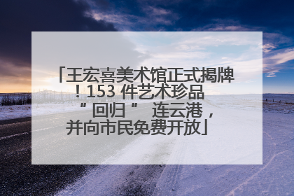 王宏喜美术馆正式揭牌！153 件艺术珍品 “ 回归 ” 连云港，并向市民免费开放