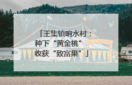 王集镇响水村：种下“黄金桃” 收获“致富果”