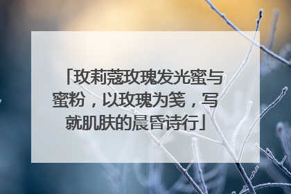 玫莉蔻玫瑰发光蜜与蜜粉，以玫瑰为笺，写就肌肤的晨昏诗行