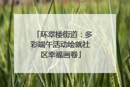 环翠楼街道：多彩端午活动绘就社区幸福画卷