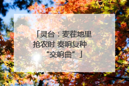 灵台：麦茬地里抢农时 奏响复种“交响曲”