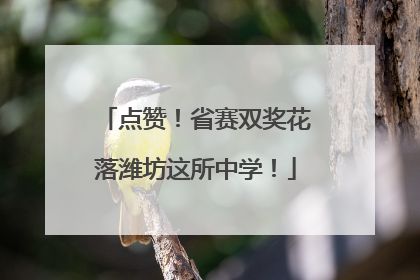 点赞！省赛双奖花落潍坊这所中学！