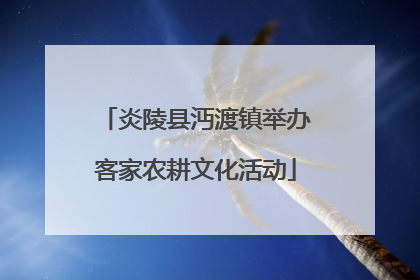 炎陵县沔渡镇举办客家农耕文化活动