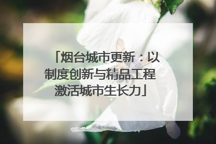 烟台城市更新：以制度创新与精品工程激活城市生长力