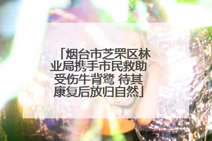 烟台市芝罘区林业局携手市民救助受伤牛背鹭 待其康复后放归自然