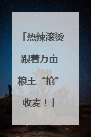 热辣滚烫 跟着万亩粮王“抢”收麦！