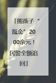 熊孩子“氪金”2000余元！民警全额追回