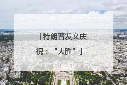 特朗普发文庆祝：“大胜”