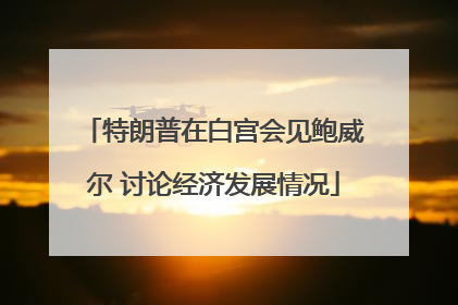 特朗普在白宫会见鲍威尔 讨论经济发展情况