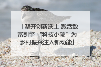 犁开创新沃土 激活致富引擎 “科技小院”为乡村振兴注入新动能