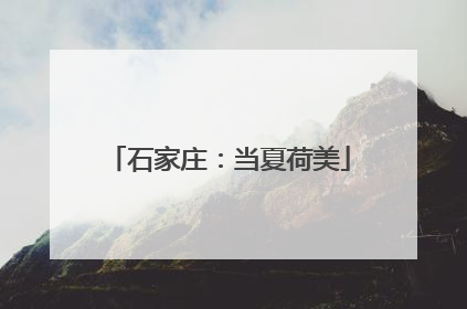 石家庄：当夏荷美