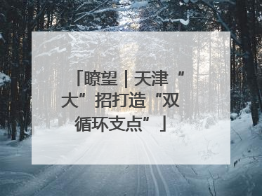 瞭望｜天津“大”招打造“双循环支点”