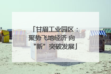甘眉工业园区：聚势飞地经济 向“新”突破发展