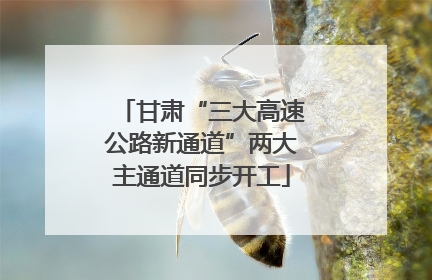 甘肃“三大高速公路新通道”两大主通道同步开工