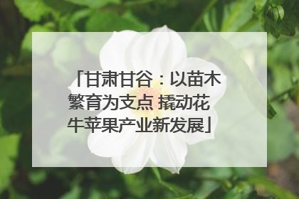 甘肃甘谷：以苗木繁育为支点 撬动花牛苹果产业新发展