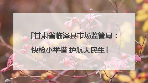 甘肃省临泽县市场监管局：快检小举措 护航大民生