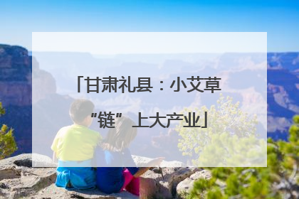 甘肃礼县：小艾草“链”上大产业