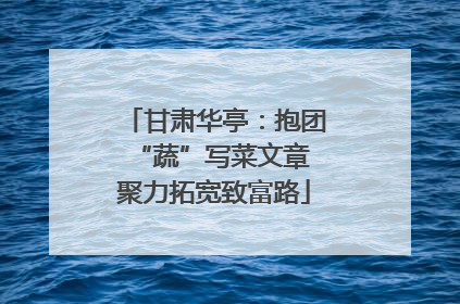 甘肃华亭：抱团“蔬”写菜文章 聚力拓宽致富路