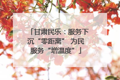 甘肃民乐：服务下沉“零距离” 为民服务“增温度”
