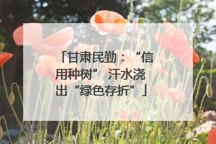甘肃民勤：“信用种树” 汗水浇出“绿色存折”