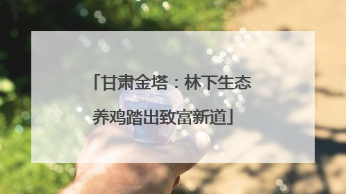 甘肃金塔：林下生态养鸡踏出致富新道