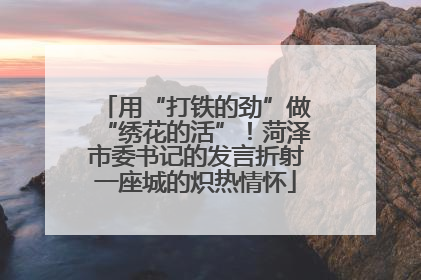 用“打铁的劲”做“绣花的活”！菏泽市委书记的发言折射一座城的炽热情怀