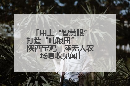 用上“智慧眼” 打造“吨粮田”——陕西宝鸡一座无人农场夏收见闻