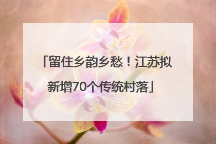 留住乡韵乡愁！江苏拟新增70个传统村落