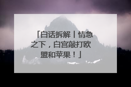 白话拆解丨情急之下，白宫敲打欧盟和苹果！