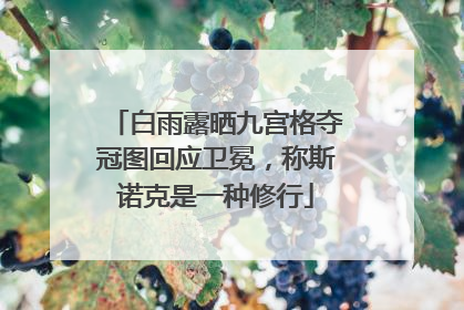 白雨露晒九宫格夺冠图回应卫冕，称斯诺克是一种修行