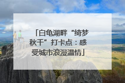 白龟湖畔“绮梦秋千”打卡点：感受城市浪漫温情