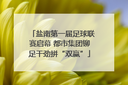 盐南第一届足球联赛启幕 都市集团铆足干劲拼“双赢”