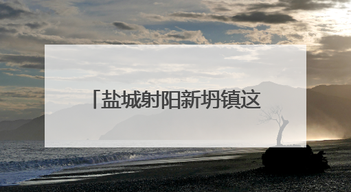 盐城射阳新坍镇这场宣讲，村民抢着听，句句说到心坎！