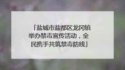 盐城市盐都区龙冈镇举办禁毒宣传活动，全民携手共筑禁毒防线