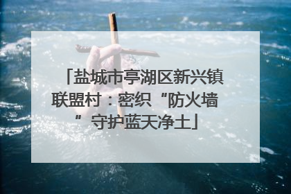 盐城市亭湖区新兴镇联盟村：密织“防火墙”守护蓝天净土